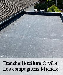 Etanchéité toiture  orville-45390 Les compagnons Michelet