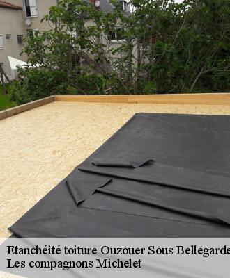 Etanchéité toiture  ouzouer-sous-bellegarde-45270 Les compagnons Michelet