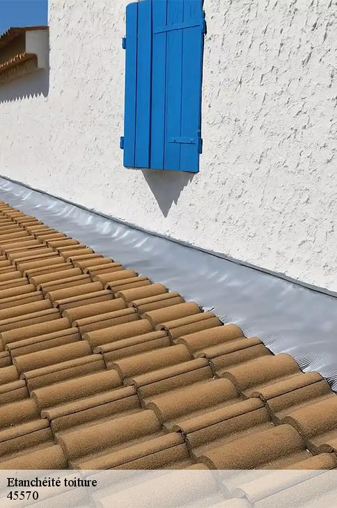Etanchéité toiture  ouzouer-sur-loire-45570 Les compagnons Michelet