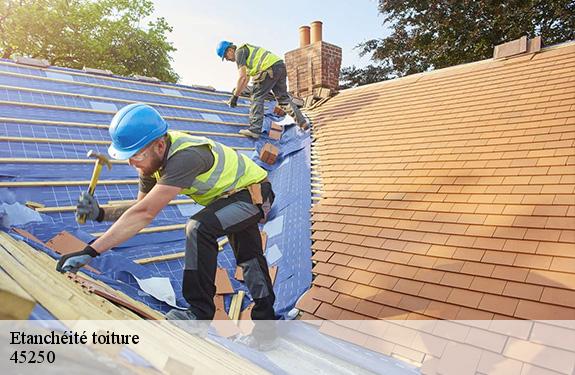 Etanchéité toiture  45250