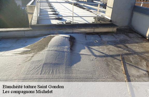 Etanchéité toiture  45500