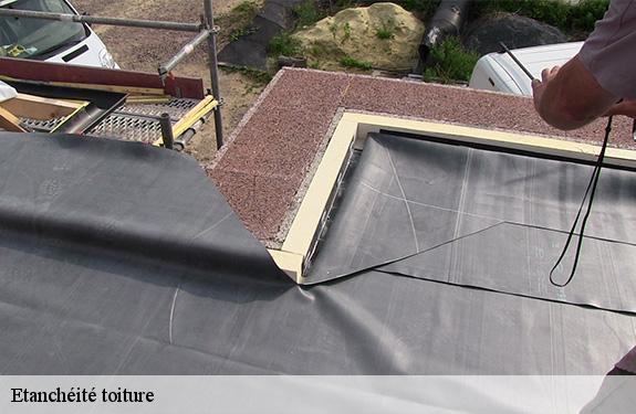 Etanchéité toiture  45320