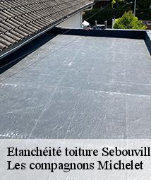 Etanchéité toiture  sebouville-45300 Les compagnons Michelet