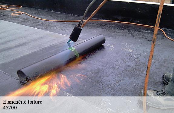 Etanchéité toiture  45700