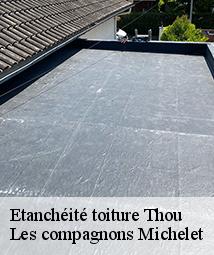 Etanchéité toiture  thou-45420 Les compagnons Michelet