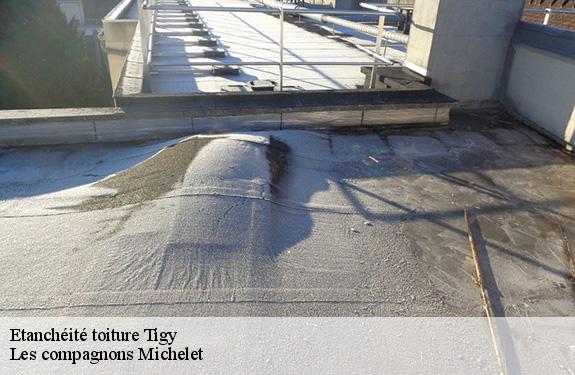 Etanchéité toiture 45510