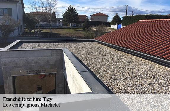 Etanchéité toiture 45510