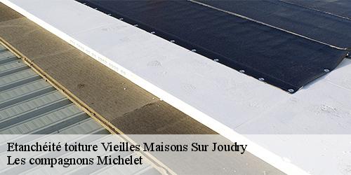 Etanchéité toiture  vieilles-maisons-sur-joudry-45260 Les compagnons Michelet