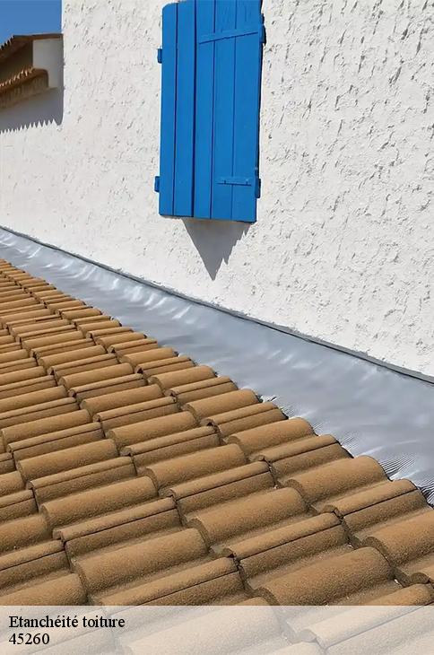 Etanchéité toiture  vieilles-maisons-sur-joudry-45260 Les compagnons Michelet