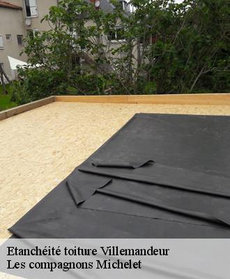 Etanchéité toiture  villemandeur-45700 Les compagnons Michelet