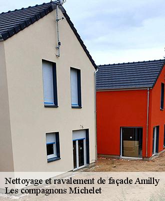 Nettoyage et ravalement de façade  amilly-45200 Les compagnons Michelet