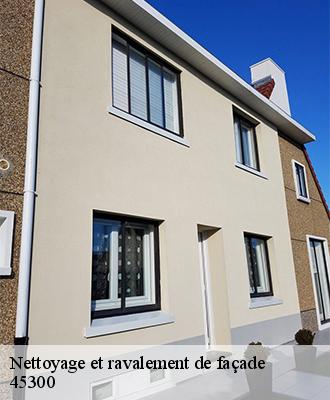 Nettoyage et ravalement de façade  ascoux-45300 Les compagnons Michelet
