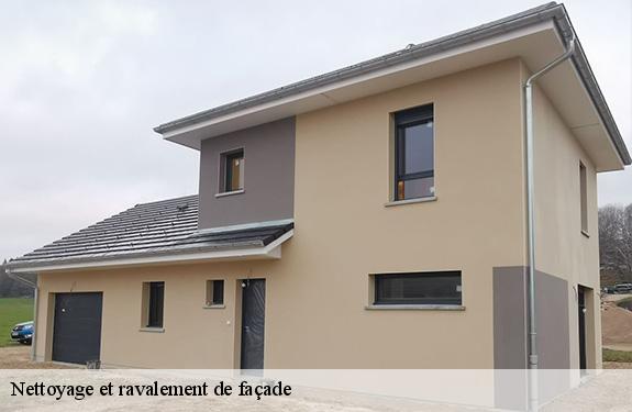 Nettoyage et ravalement de façade 45170