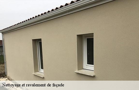 Nettoyage et ravalement de façade  45360