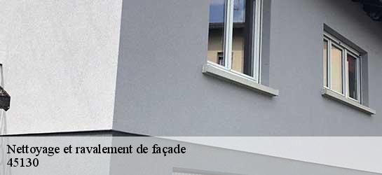 Nettoyage et ravalement de façade  45130