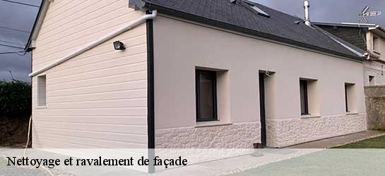 Nettoyage et ravalement de façade  45300