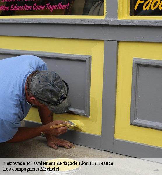 Nettoyage et ravalement de façade  lion-en-beauce-45410 Les compagnons Michelet