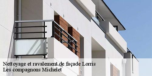 Nettoyage et ravalement de façade  lorris-45260 Les compagnons Michelet