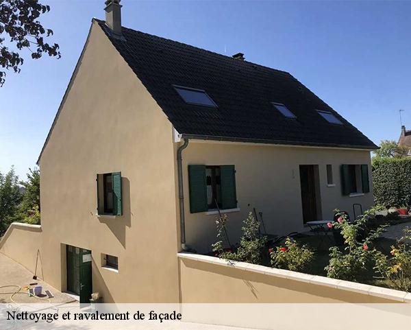 Nettoyage et ravalement de façade  mardie-45430 Les compagnons Michelet