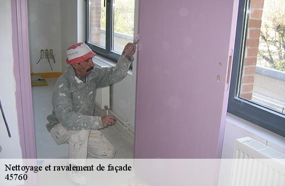 Nettoyage et ravalement de façade  45760