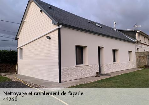 Nettoyage et ravalement de façade  noyers-45260 Les compagnons Michelet