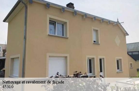 Nettoyage et ravalement de façade  45310