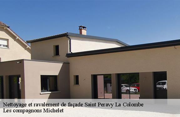 Nettoyage et ravalement de façade  45310