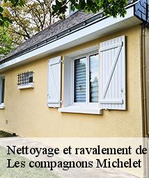 Nettoyage et ravalement de façade  thorailles-45210 Les compagnons Michelet