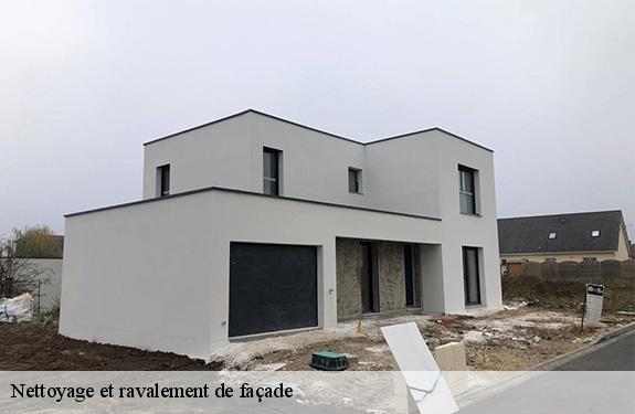Nettoyage et ravalement de façade  45530