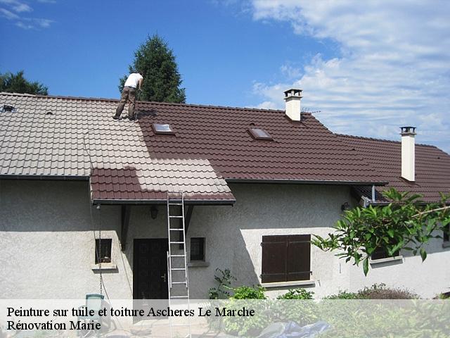 Peinture sur tuile et toiture  ascheres-le-marche-45170 Rénovation Marie