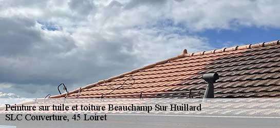 Peinture sur tuile et toiture  45270