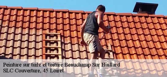 Peinture sur tuile et toiture  45270