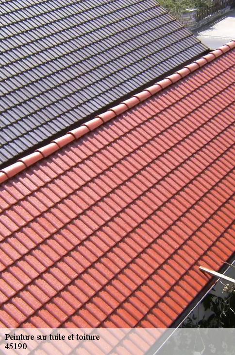 Peinture sur tuile et toiture  beaugency-45190 Les compagnons Michelet