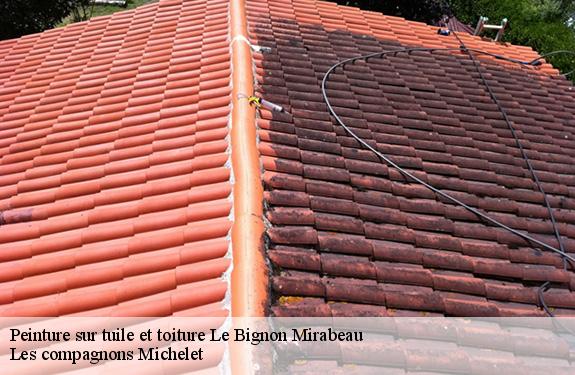 Peinture sur tuile et toiture  45210