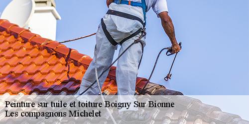 Peinture sur tuile et toiture  boigny-sur-bionne-45760 Les compagnons Michelet