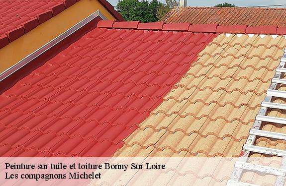 Peinture sur tuile et toiture 45420