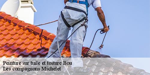 Peinture sur tuile et toiture  bou-45430 Les compagnons Michelet