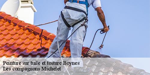Peinture sur tuile et toiture boynes-45300 Les compagnons Michelet