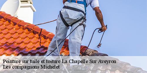 Peinture sur tuile et toiture  la-chapelle-sur-aveyron-45230 Les compagnons Michelet