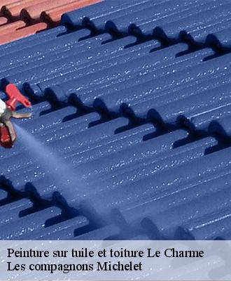 Peinture sur tuile et toiture  le-charme-45230 Les compagnons Michelet