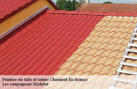 Peinture sur tuile et toiture  45480