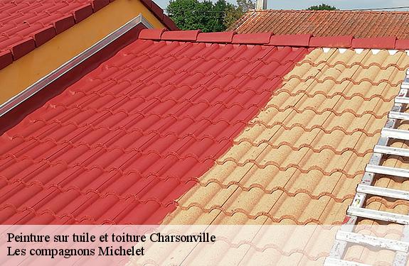 Peinture sur tuile et toiture  45130