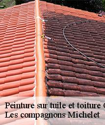 Peinture sur tuile et toiture  chuelles-45220 Les compagnons Michelet