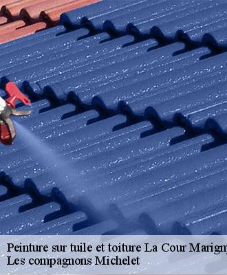 Peinture sur tuile et toiture  la-cour-marigny-45260 Les compagnons Michelet