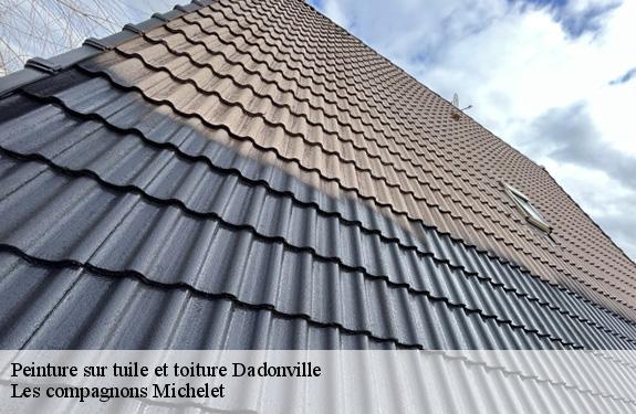 Peinture sur tuile et toiture  dadonville-45300 Les compagnons Michelet
