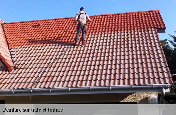 Peinture sur tuile et toiture  45220
