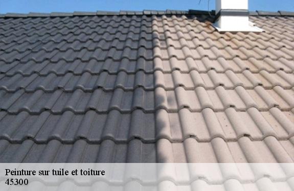 Peinture sur tuile et toiture  45300