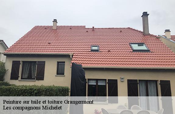 Peinture sur tuile et toiture  45390