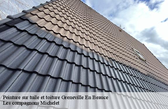Peinture sur tuile et toiture  greneville-en-beauce-45480 Les compagnons Michelet