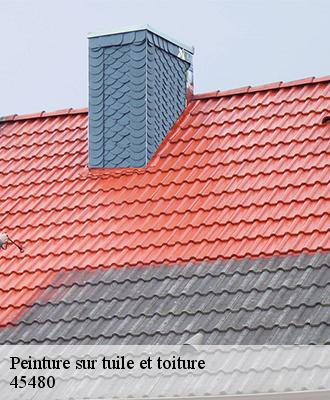 Peinture sur tuile et toiture  guignonville-45480 Les compagnons Michelet